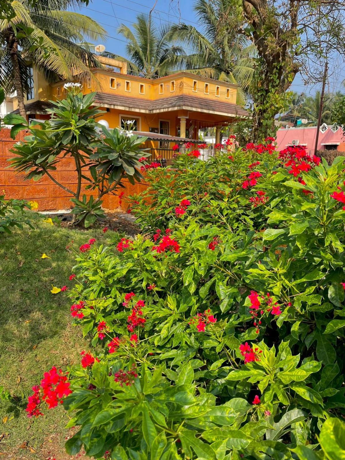 Scarlet Resort Alibag Alībāg Exterior foto
